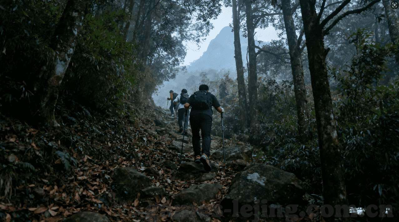 澳门金沙网上赌场真假-澳门金沙网上赌场真假验证与专业建议